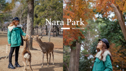 Chuchu’s Travel for Dummy - Here comes Bambi! Nara Park and Todai-ji Temple