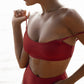 Second Skin|Shimmer ~ Classic High Waisted Pantie - Garnet Red