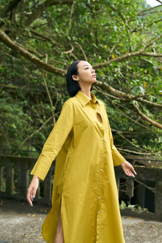 The Eco Edit ~ Relaxed Fit Boyfriend Shirt Dress - Autumn Green